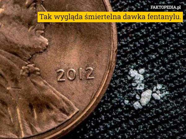 
    
			Tak wygląda śmiertelna dawka fentanylu.					