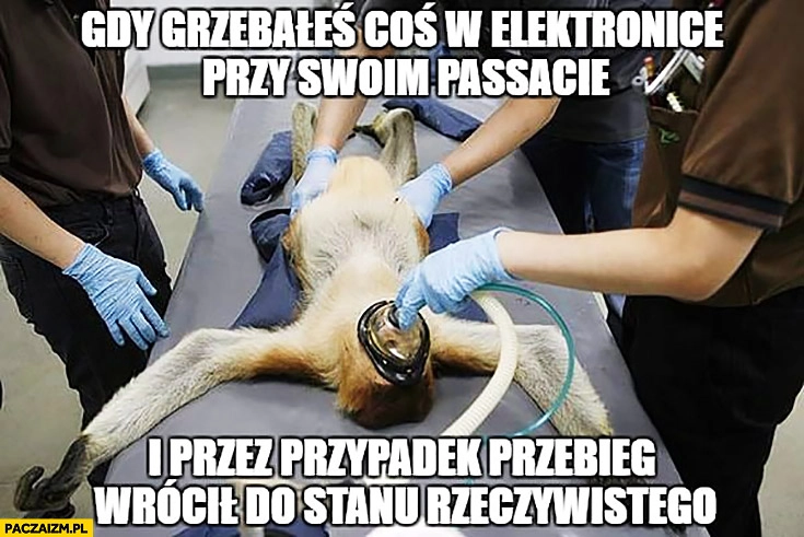 
    Gdy grzebałeś coś w elektronice przy swoim Passacie i przez przypadek przebieg wrócił do stanu rzeczywistego typowy Polak nosacz małpa