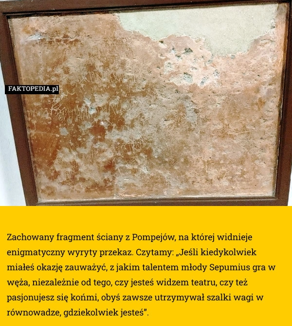 
    Zachowany fragment ściany z Pompejów, na której widnieje enigmatyczny