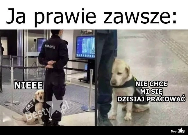 
    To nie mój dzień 