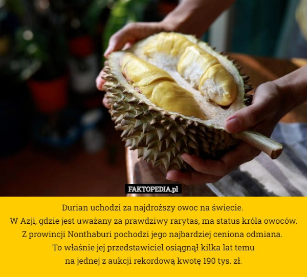 
    Durian uchodzi za najdroższy owoc na świecie. 
W Azji, gdzie jest uważany