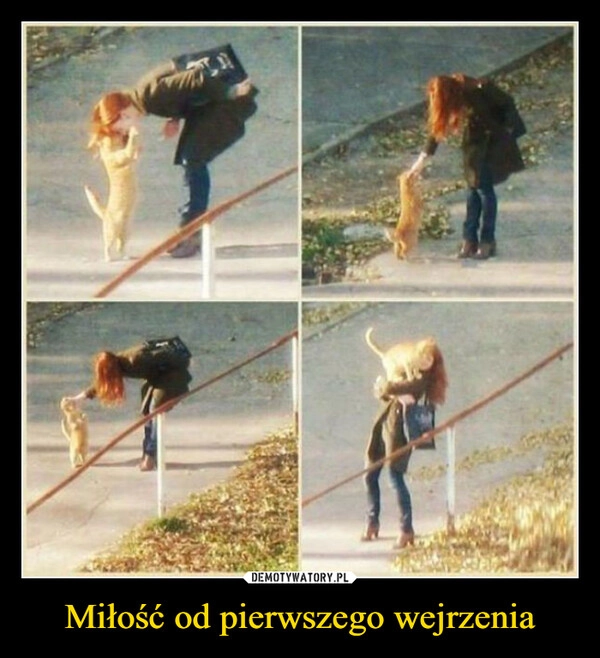 
    Miłość od pierwszego wejrzenia