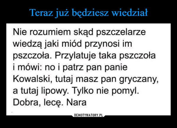 
    Teraz już będziesz wiedział