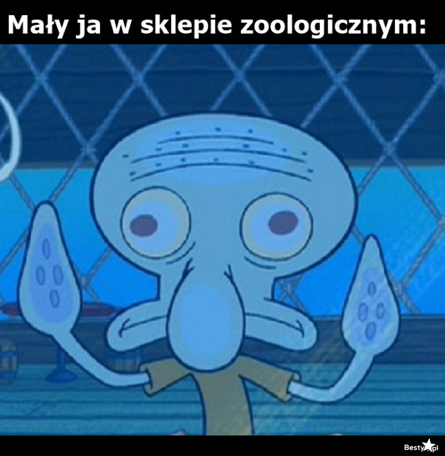 
    W sklepie zoologicznym 