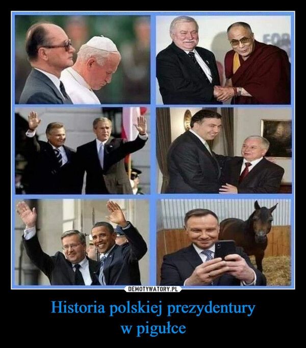 
    Historia polskiej prezydentury
w pigułce