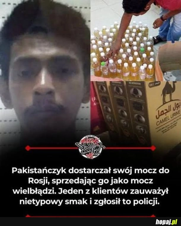 
    Rosja XD