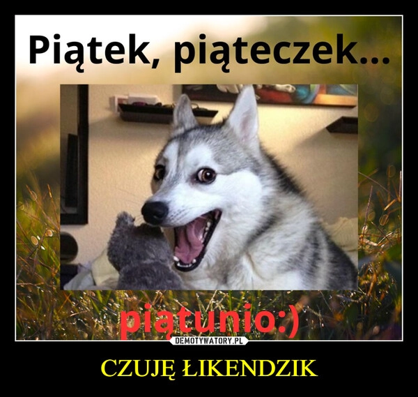 
    CZUJĘ ŁIKENDZIK