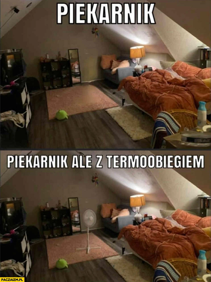 
    Pokój piekarnik vs piekarnik ale z termoobiegiem wiatrak wentylator