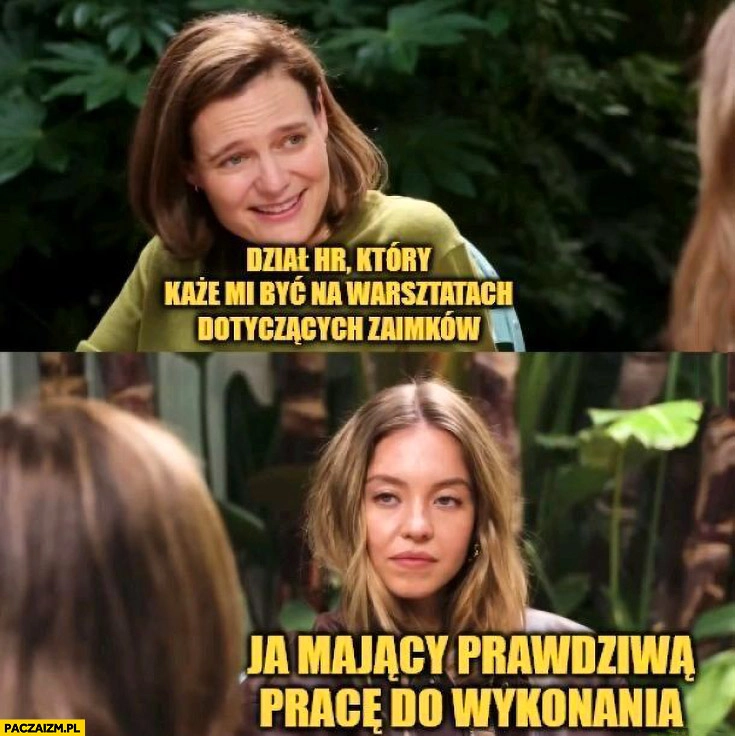 Dział HR który każe mi być na warsztatach dotyczących zaimków vs ja mający prawdziwą pracę do wykonania