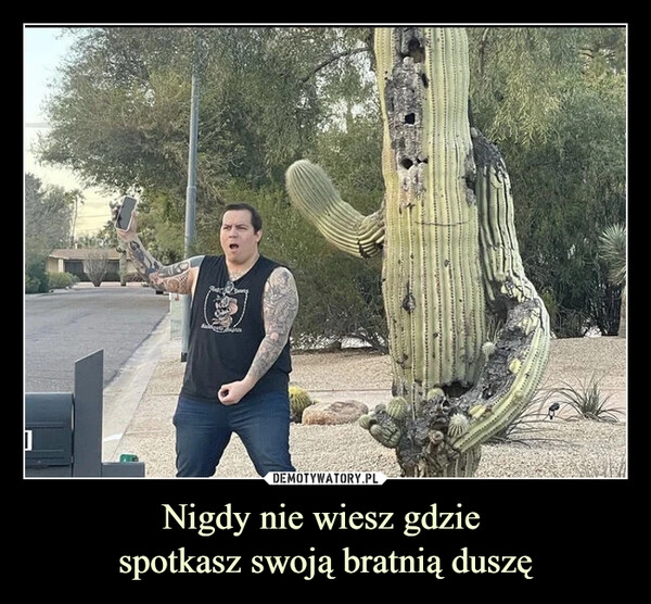 
    Nigdy nie wiesz gdzie 
spotkasz swoją bratnią duszę