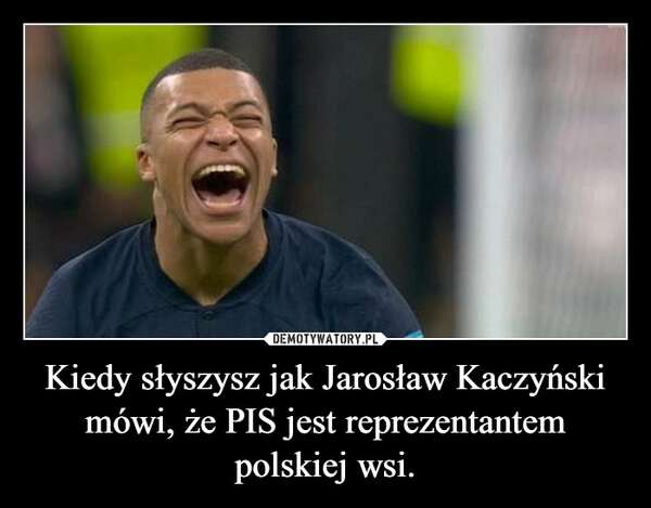 
    
Kiedy słyszysz jak Jarosław Kaczyński mówi, że PIS jest reprezentantem polskiej wsi. 