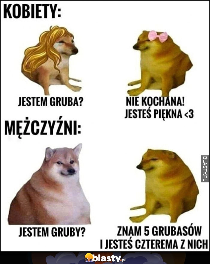 
    Kobiety: jestem gruba? Nie, jesteś piękna. Mężczyźni: jestem gruby? Znam 5 grubasów i jesteś 4 z nich pies pieseł doge cheems