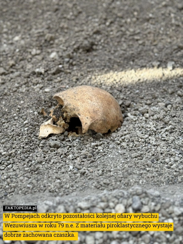 
    W Pompejach odkryto pozostałości kolejnej ofiary wybuchu Wezuwiusza w roku