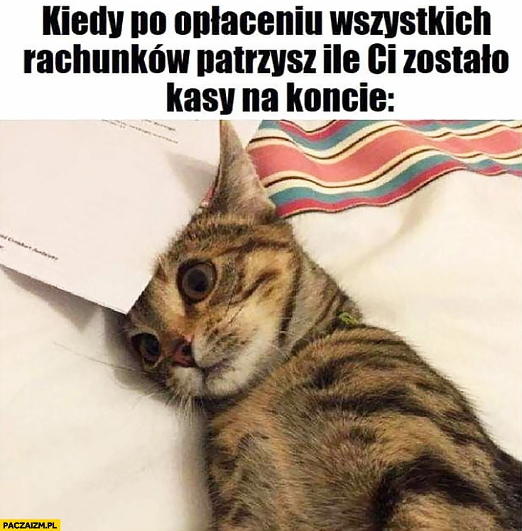 
    Kiedy po opłaceniu wszystkich rachunków parzysz ile Ci zostało na koncie smutny kot