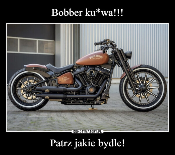 
    Bobber ku*wa!!! Patrz jakie bydle!