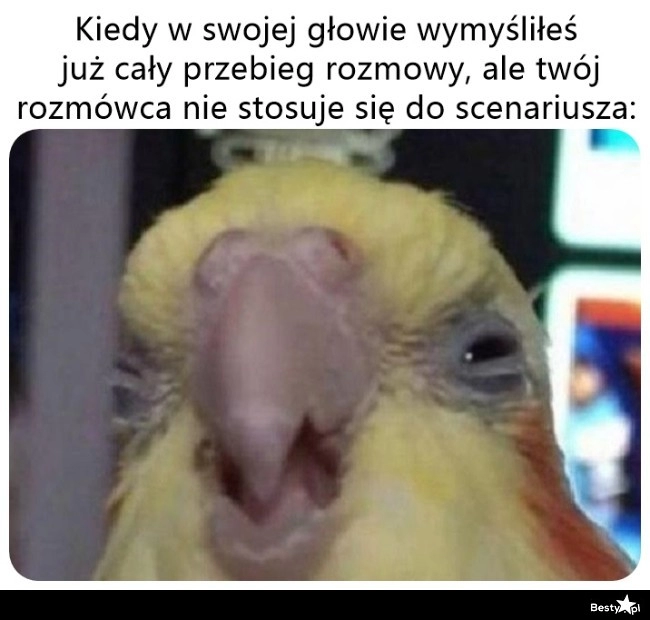 
    Wszystko nie tak 