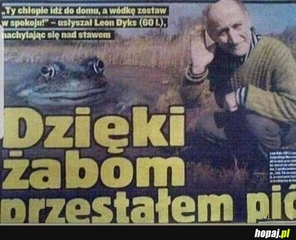 
    Żabki dobre ziomki