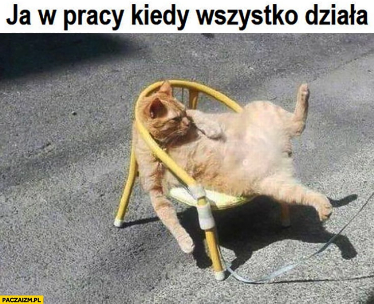 
    Ja w pracy kiedy wszystko działa kot rozwalony na fotelu