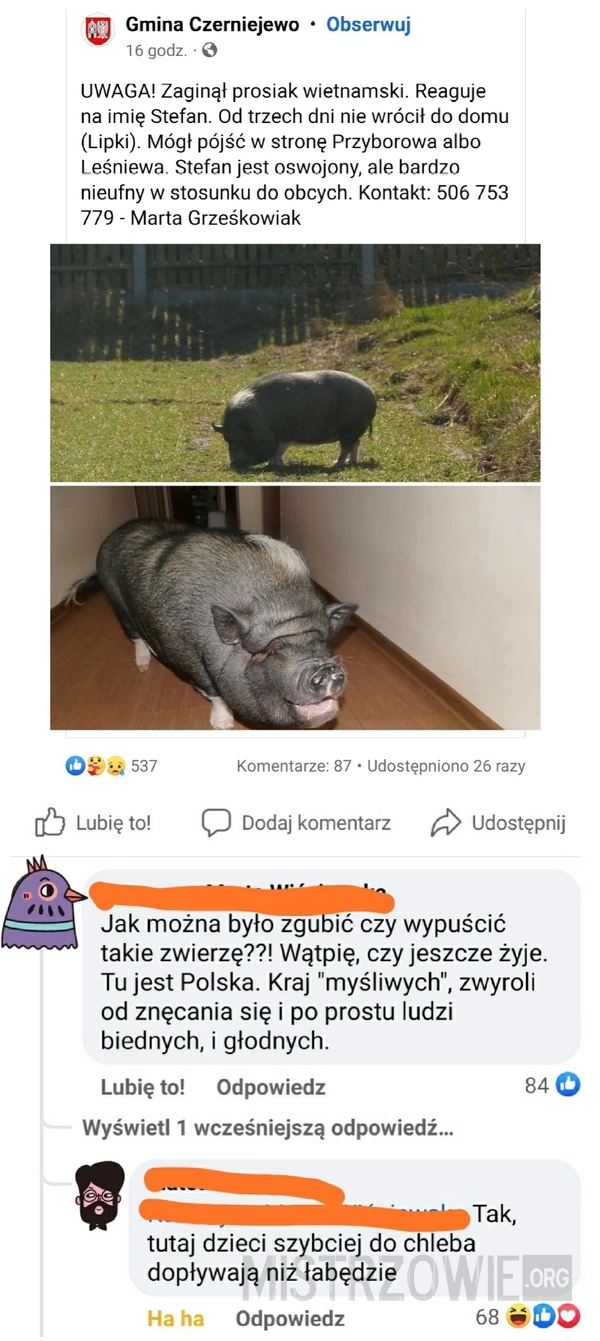 
    
			Łabędzie					