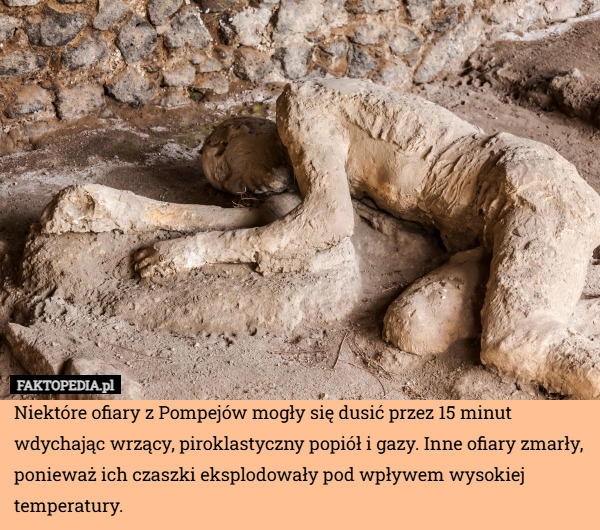 
    Niektóre ofiary z Pompejów mogły się dusić przez 15 minut wdychając wrzący,