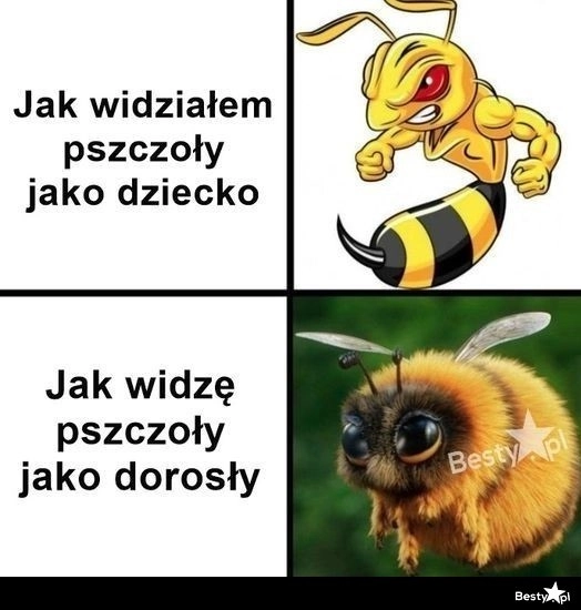 
    Pozmieniało się 