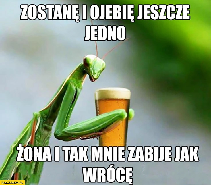 
    Zostanę i wypiję jeszcze jedno piwo, żona i tak mnie zabije jak wrócę