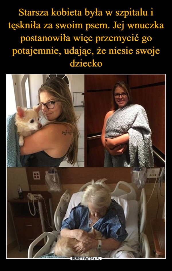 
    Starsza kobieta była w szpitalu i tęskniła za swoim psem. Jej wnuczka postanowiła więc przemycić go potajemnie, udając, że niesie swoje dziecko