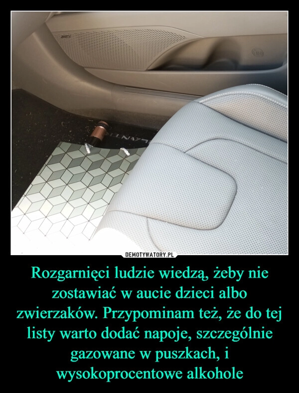 
    Rozgarnięci ludzie wiedzą, żeby nie zostawiać w aucie dzieci albo zwierzaków. Przypominam też, że do tej listy warto dodać napoje, szczególnie gazowane w puszkach, i wysokoprocentowe alkohole