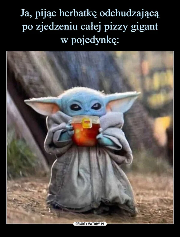 
    Ja, pijąc herbatkę odchudzającą po zjedzeniu całej pizzy gigant w pojedynkę: