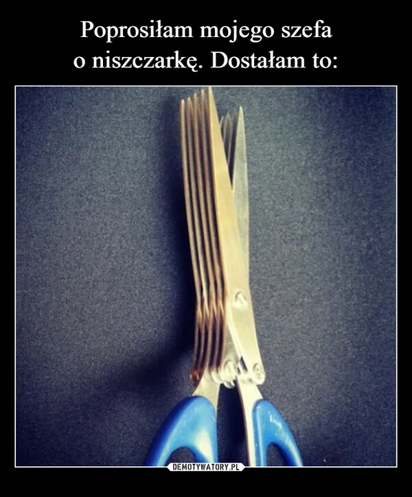 Poprosiłam mojego szefa o niszczarkę. Dostałam to: