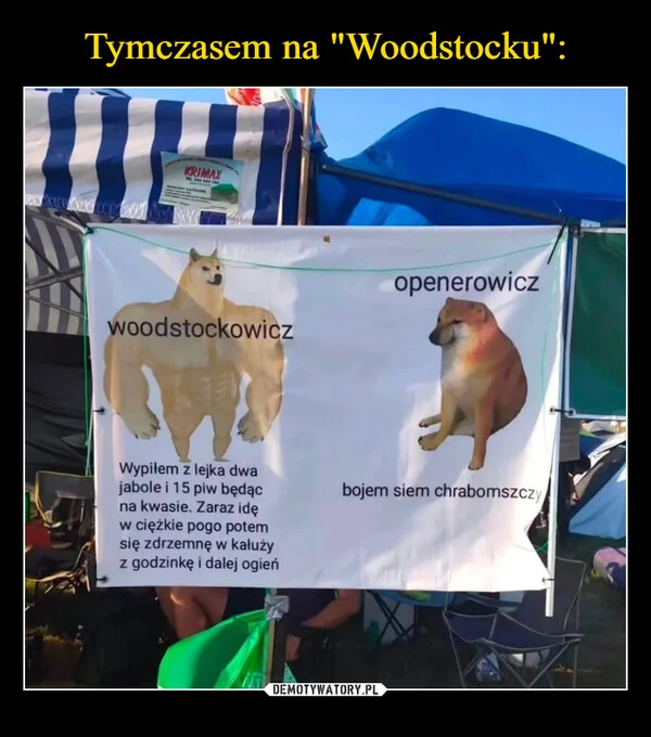 
    Tymczasem na 