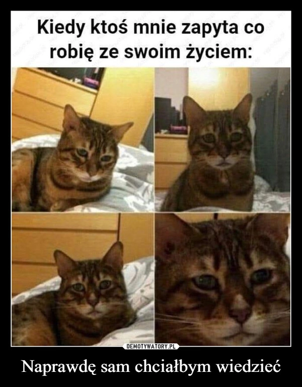 
    Naprawdę sam chciałbym wiedzieć