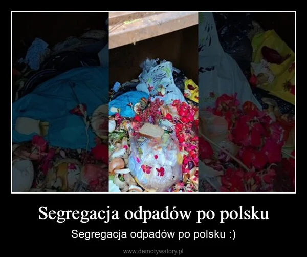 
    Segregacja odpadów po polsku