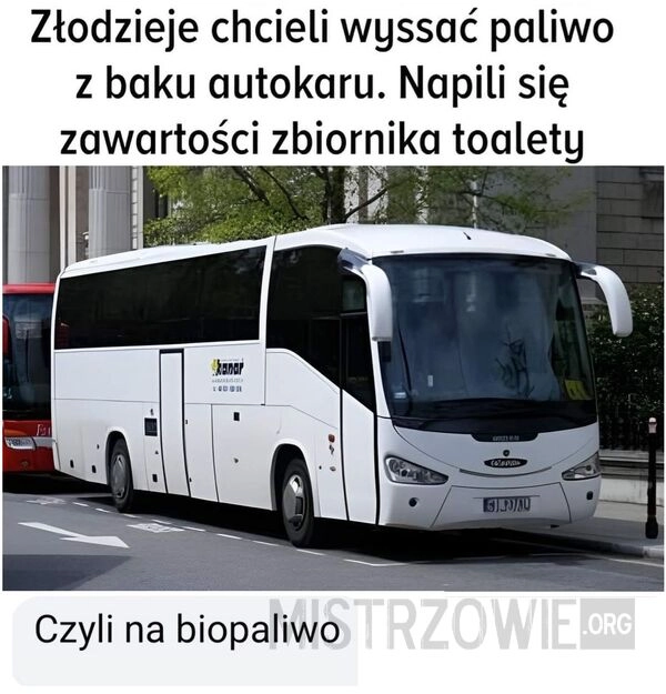 
    Zieloni złodzieje