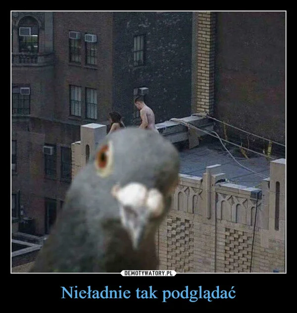 
    Nieładnie tak podglądać