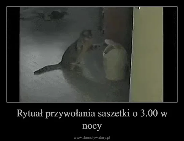 
    Rytuał przywołania saszetki o 3.00 w nocy