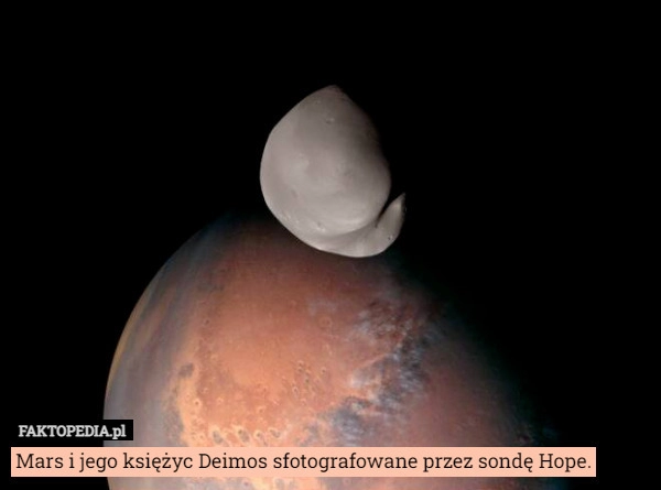 
    Mars i jego księżyc Deimos sfotografowane przez sondę Hope.