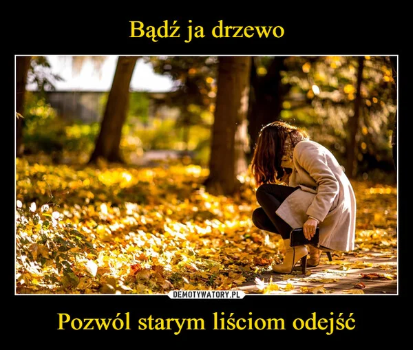 
    Bądź ja drzewo Pozwól starym liściom odejść