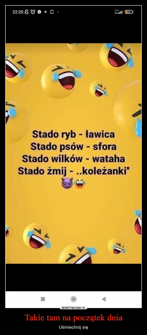 
    Takie tam na początek dnia