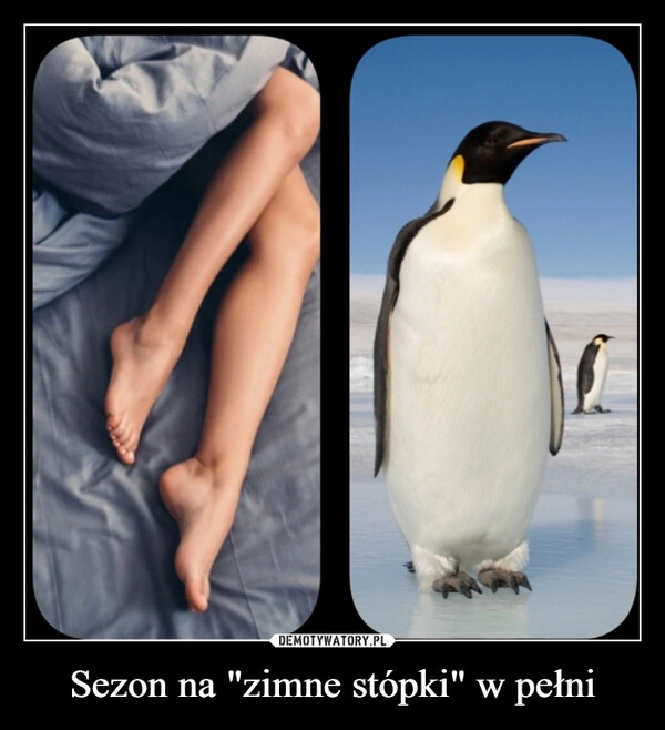 
    Sezon na "zimne stópki" w pełni