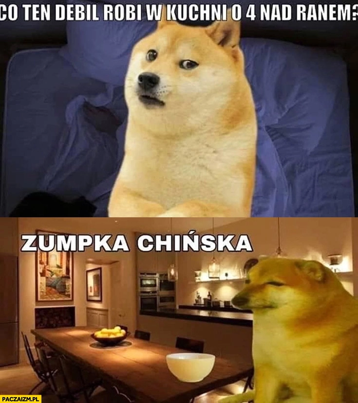 
    Pies doge co ten debil robi w kuchni o 4 nad ranem zupka chińska