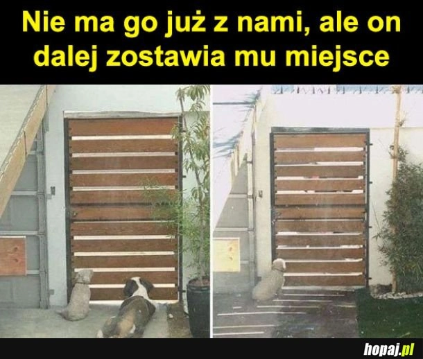 
    Miejsce dla przyjaciela