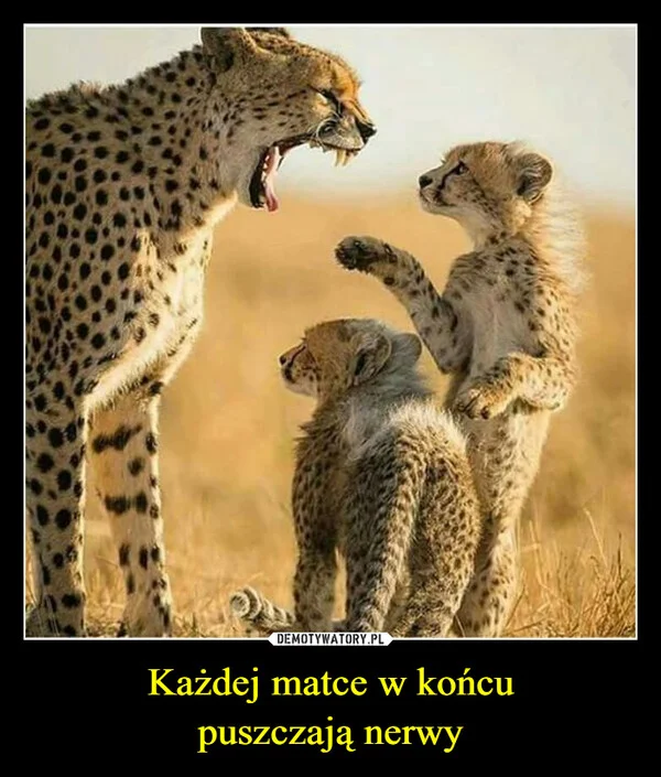 
    Każdej matce w końcu puszczają nerwy