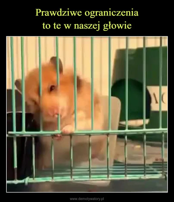 Prawdziwe ograniczenia to te w naszej głowie
