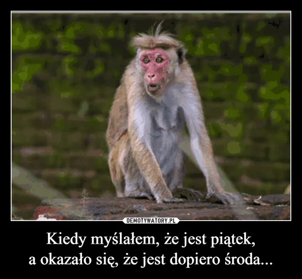 
    Kiedy myślałem, że jest piątek, a okazało się, że jest dopiero środa...