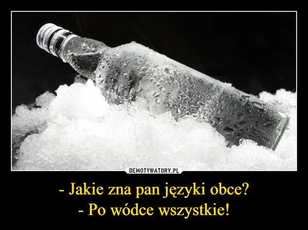 - Jakie zna pan języki obce? - Po wódce wszystkie!