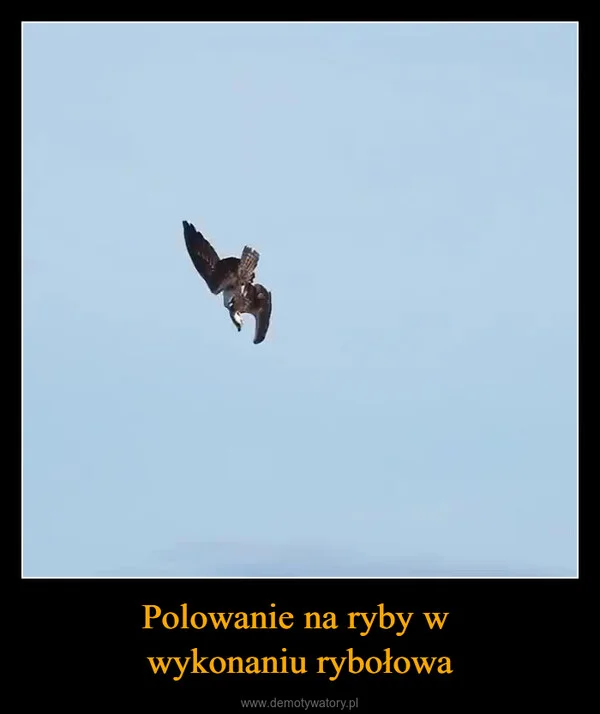 
    Polowanie na ryby w wykonaniu rybołowa