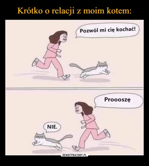 
    Krótko o relacji z moim kotem: