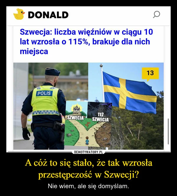 
    A cóż to się stało, że tak wzrosła przestępczość w Szwecji?
