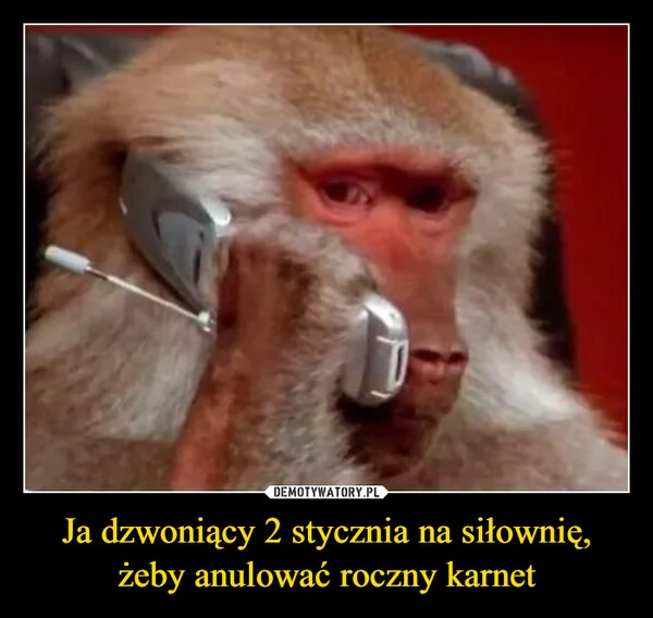
    Ja dzwoniący 2 stycznia na siłownię, żeby anulować roczny karnet